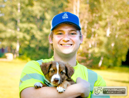 Darwin - Red Tri Boy - Is with Brett in MN