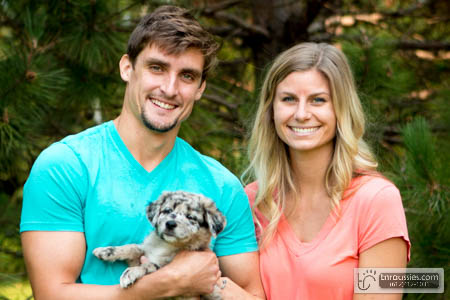 Hans - Blue Merle Boy - Is with Randi & Nate in MN