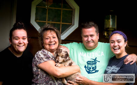 Jasper - Red Merle Boy - Is with Lynn & Family in MN