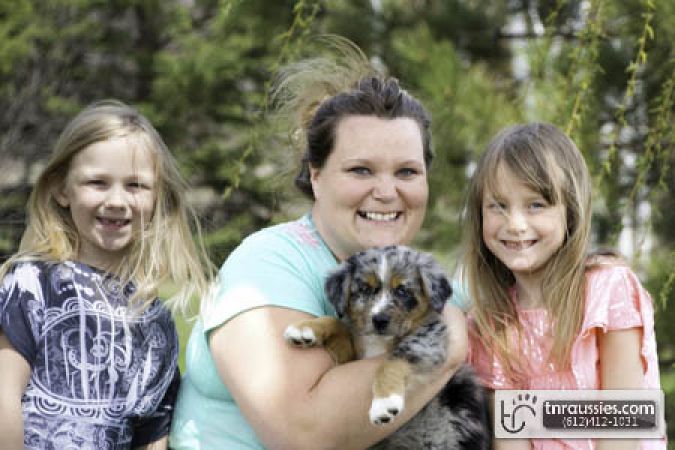 Remi - Merle Boy Sold - Is with Townley family in MN